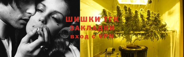 spice Алзамай